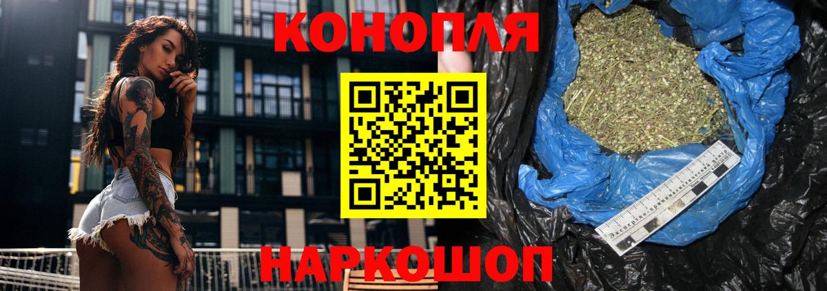 Марихуана сатива Клинцы